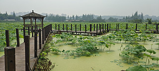 ļͥɻh(yun)ɽ˼ҳиߘ