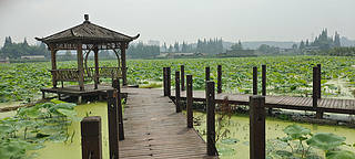 ļɻͥh(yun)ɽ˼ҳиߘ