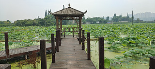 ļɻͥh(yun)ɽ˼ҳиߘ