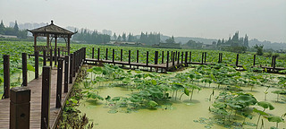 ļɻͥh(yun)ɽ˼ҳиߘ