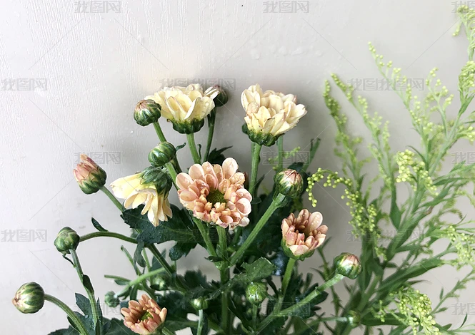 Ƭ