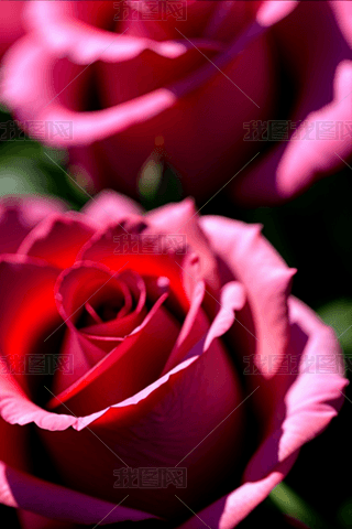 õtɫ˹(ji)520õΌNޱֲzӰ