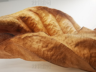 ֲݘ~ӿ~y·~}~~Ƭ΢