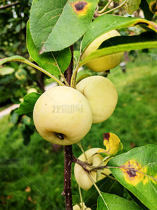 Tu쉺֦^