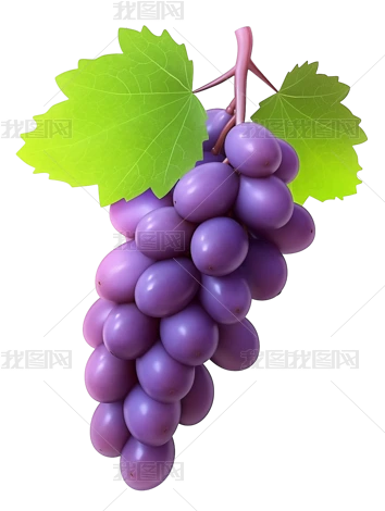 3D⓸D(bio)