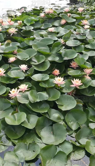 ȻL箋˯ɏ߅ɫɽˮ
