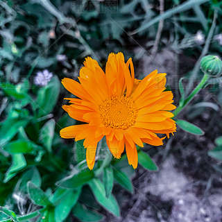 ջKֲﻨܔzӰDƬز