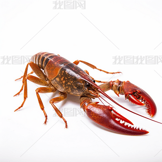 ˇgСrDƬ