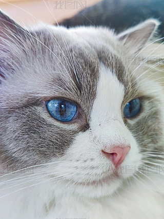 {۾؈،