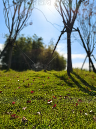 G{