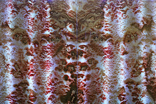 Ȼʯʯʯƴb-156