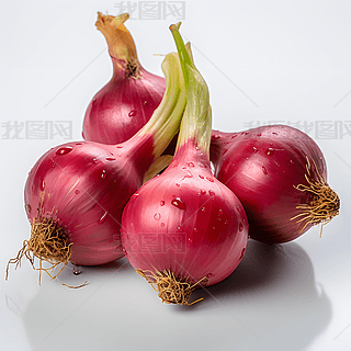[߲ز