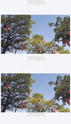 \zӰD