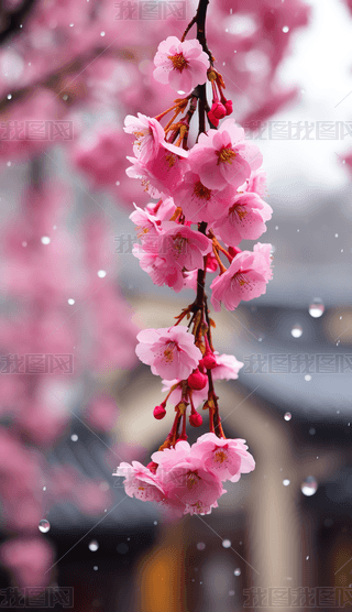 tɫ÷ʢ_ΨO(sh)ӋزĸzӰD(sh)ˇg(sh)