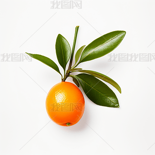 (sh)ĸzӰa(chn)ƷˮDƬز֮