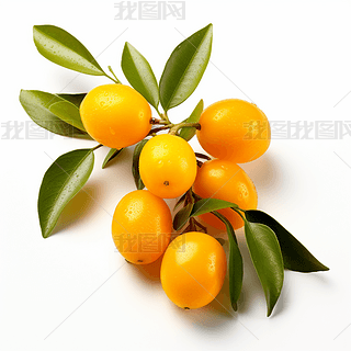 (sh)ĸzӰa(chn)ƷˮDƬز֮