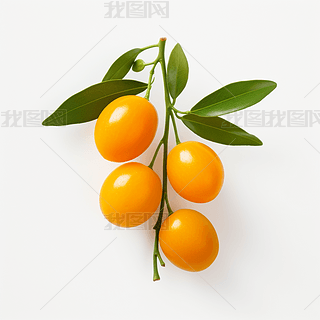 (sh)ĸzӰa(chn)ƷˮDƬز֮