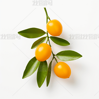 (sh)ĸzӰa(chn)ƷˮDƬز֮