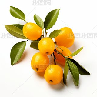 (sh)ĸzӰa(chn)ƷˮDƬز֮