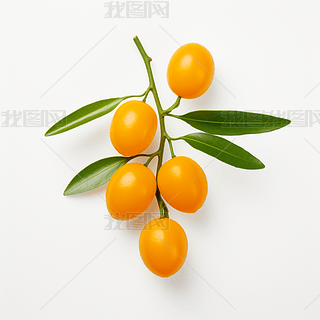 (sh)ĸzӰa(chn)ƷˮDƬز֮