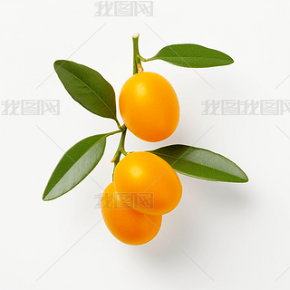 (sh)ĸzӰa(chn)ƷˮDƬز֮