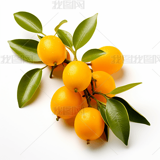 (sh)ĸzӰa(chn)ƷˮDƬز֮