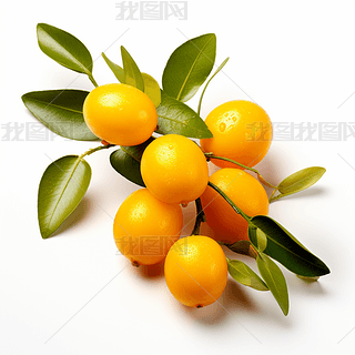 (sh)ĸzӰa(chn)ƷˮDƬز֮