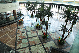 Ǽ(j)Ƶ͏dʯbذ36