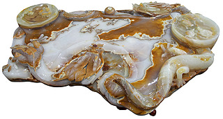 ʯļҾ߲_(ti)߲Ļˇg(sh)02