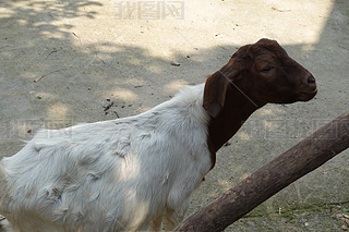 ɽ?q)?>
                                                                    </a>
                                <div   id=