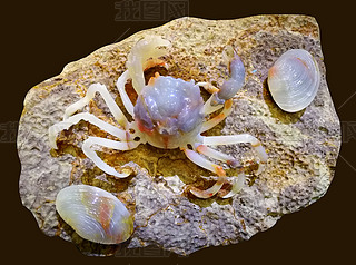 (dng)ղƷʯˇg(sh)71