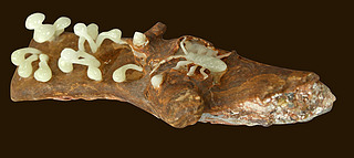 (dng)ղƷʯˇg(sh)05