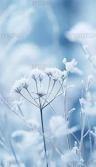 ѩѩYĘ֦eѩs󱳾