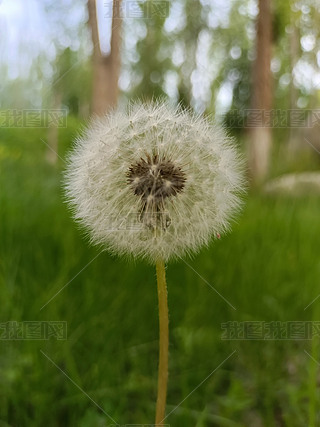 ΨrزĈDƬ
