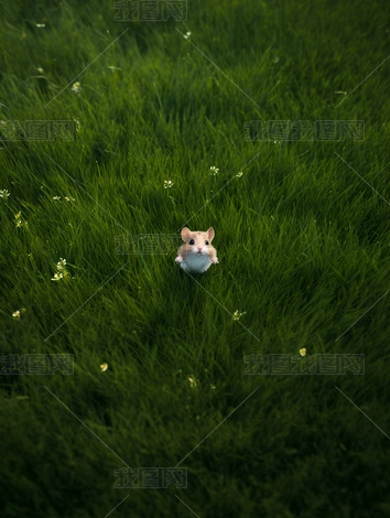 ^ڼ