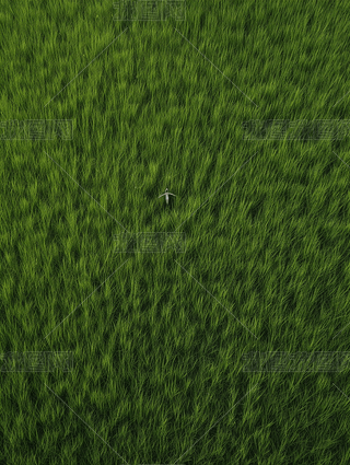Gɫݵ֙CڼzӰD