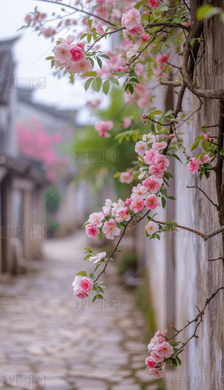 ů_СС(zhn)l(xing)l(xing)С