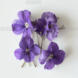 _mܸzӰD(jin)s(bo)O(sh)Ӌ(j)̘I(y)(chung)ֲ