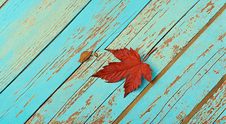 ľ·ϵļtɫ~ɫD(zhun)Qɼtɫ{(ln)ɫDƬ