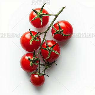 СtʥŮˮzӰDOLź