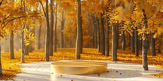 ̮a(chn)ƷĔzչ_󱳾Rز