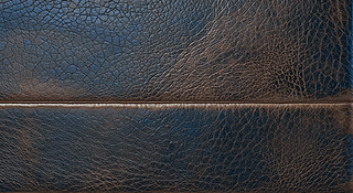 ȫĔzL(fng)Ƥﱳyزĵ׼yDNDƬ