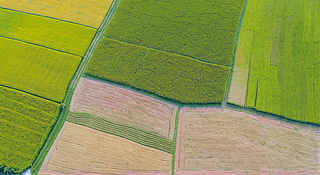 BDGɫSɫĵиҕDƬDƬ