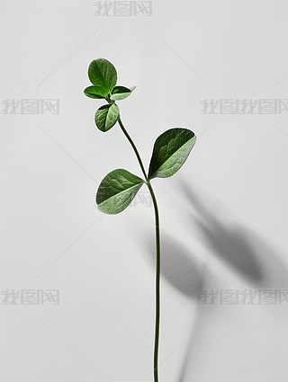 OӋ