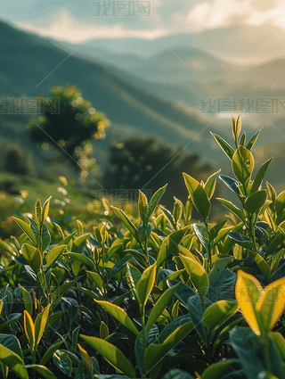 Gɫ@~ɽV溣(bo)zӰDز