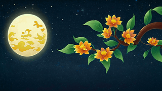 s(chung)﹝(ji)ҹ宋宋