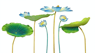 (gu)L(fng)ɻɏ~宋(hu)Ԫز宋(hu)