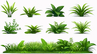 ĲݹľGɫrֲﻨ@宋(hu)