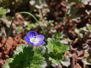 Gֲﰢż{ҰС{(ln)ɫҰﻨ