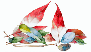 ˮL宋(hu)ʥQYѩϲ宋(hu)